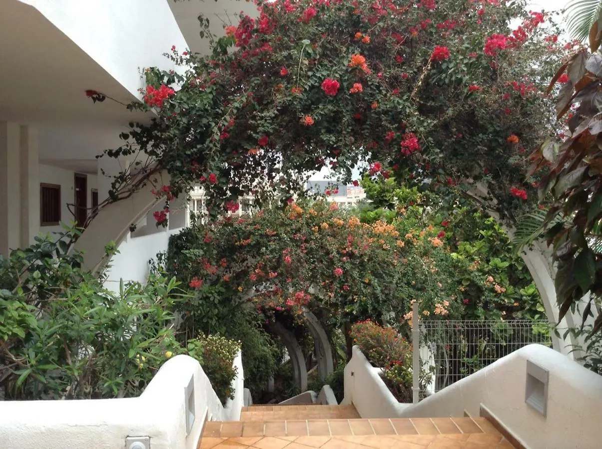 New Beautiful Apartment!Beaches Nearby!Ocean View! Costa Adeje  Apartamento Costa Adeje (Tenerife)